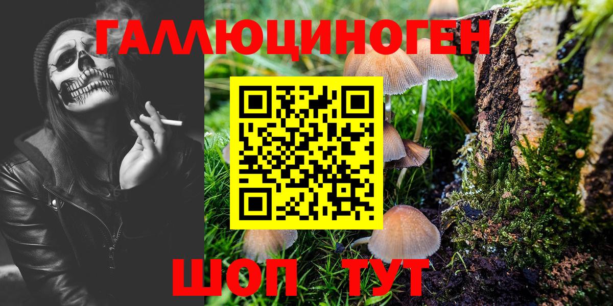 Галлюциногенные грибы Psilocybine cubensis  Галлюциногенные грибы GOLDEN TEACHER  Ноябрьск  Вход с VPN 